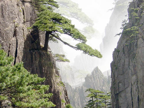 Китай. Горы Хуаншань